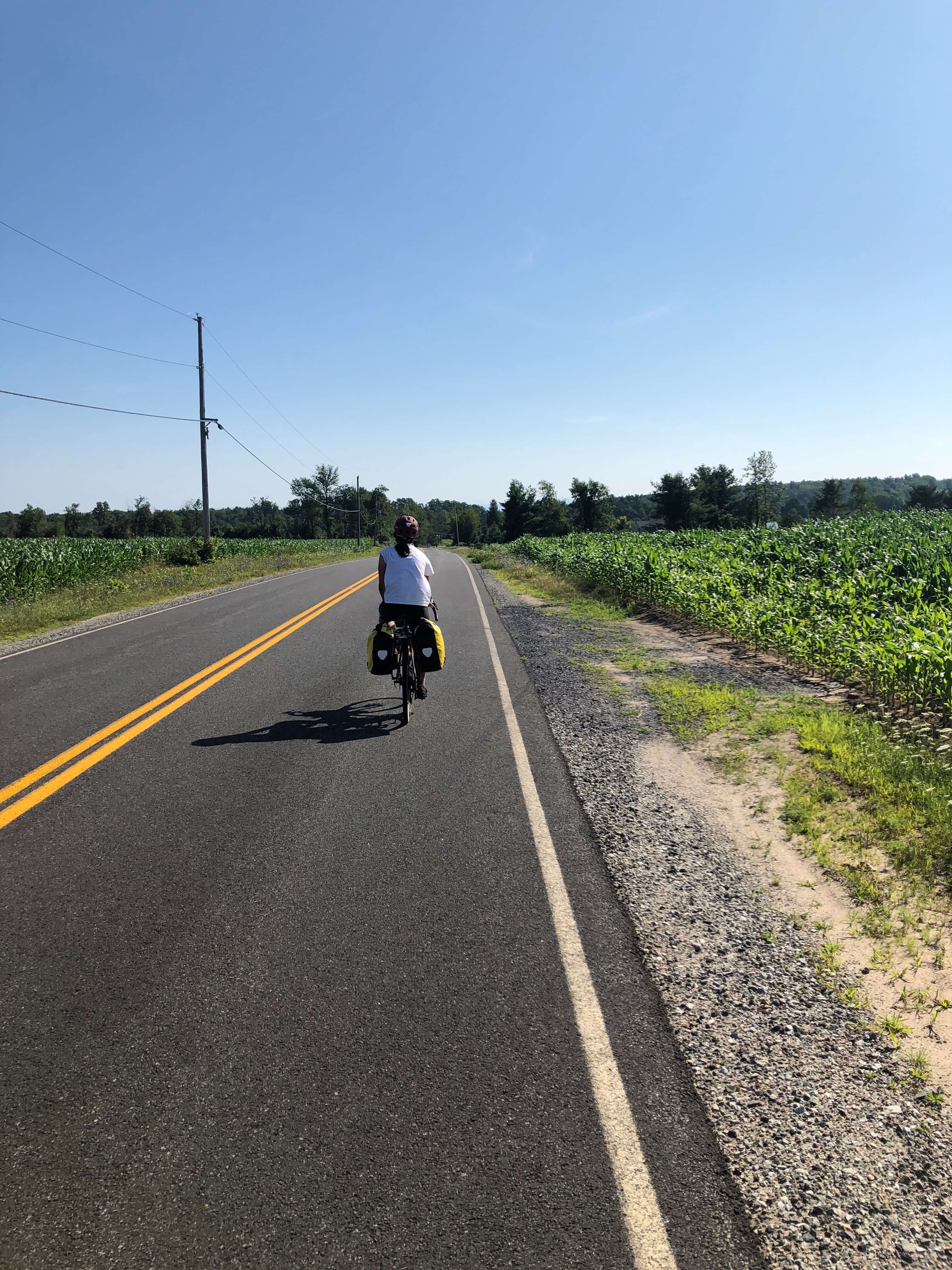 corn_road