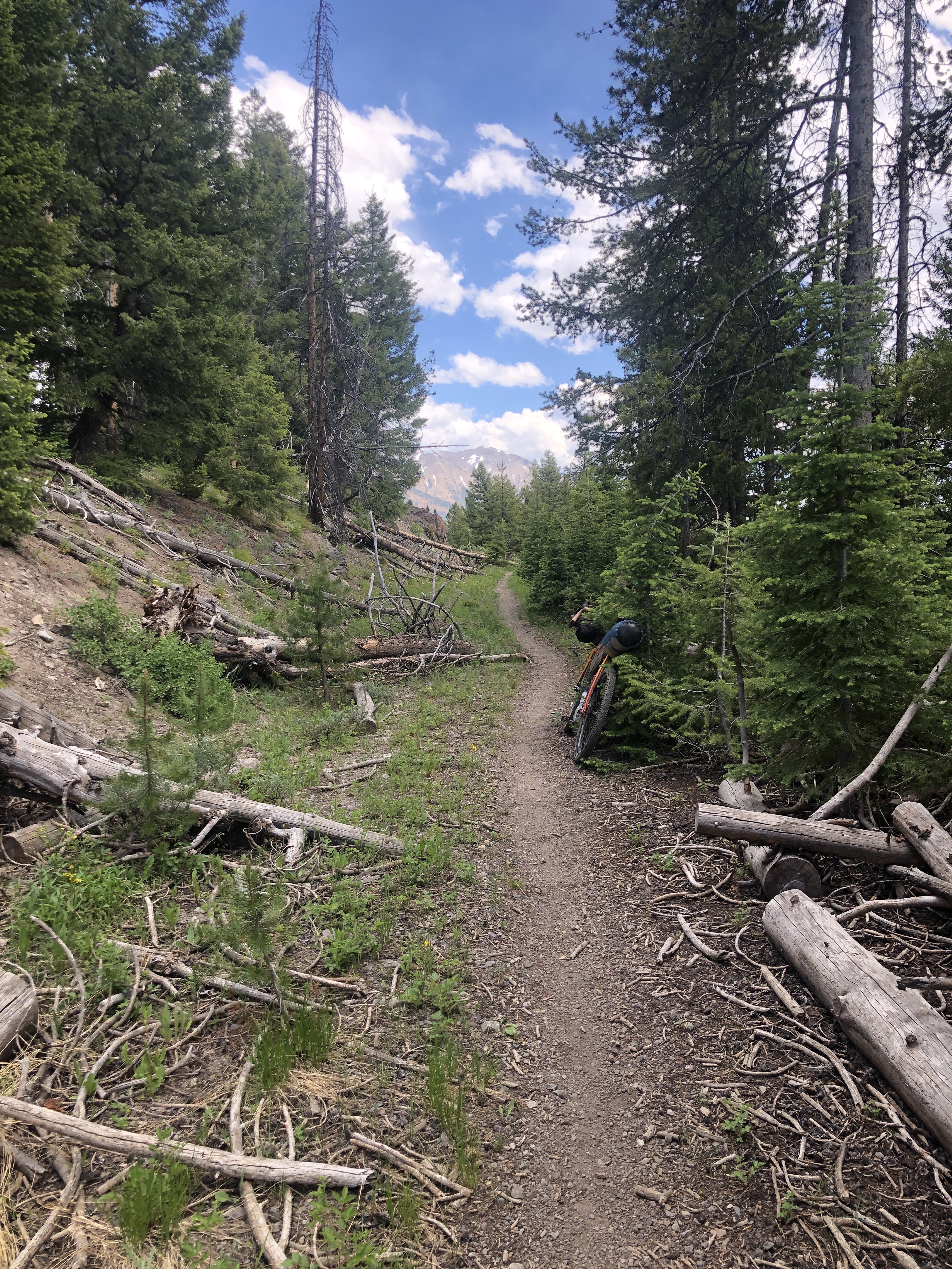 singletrack