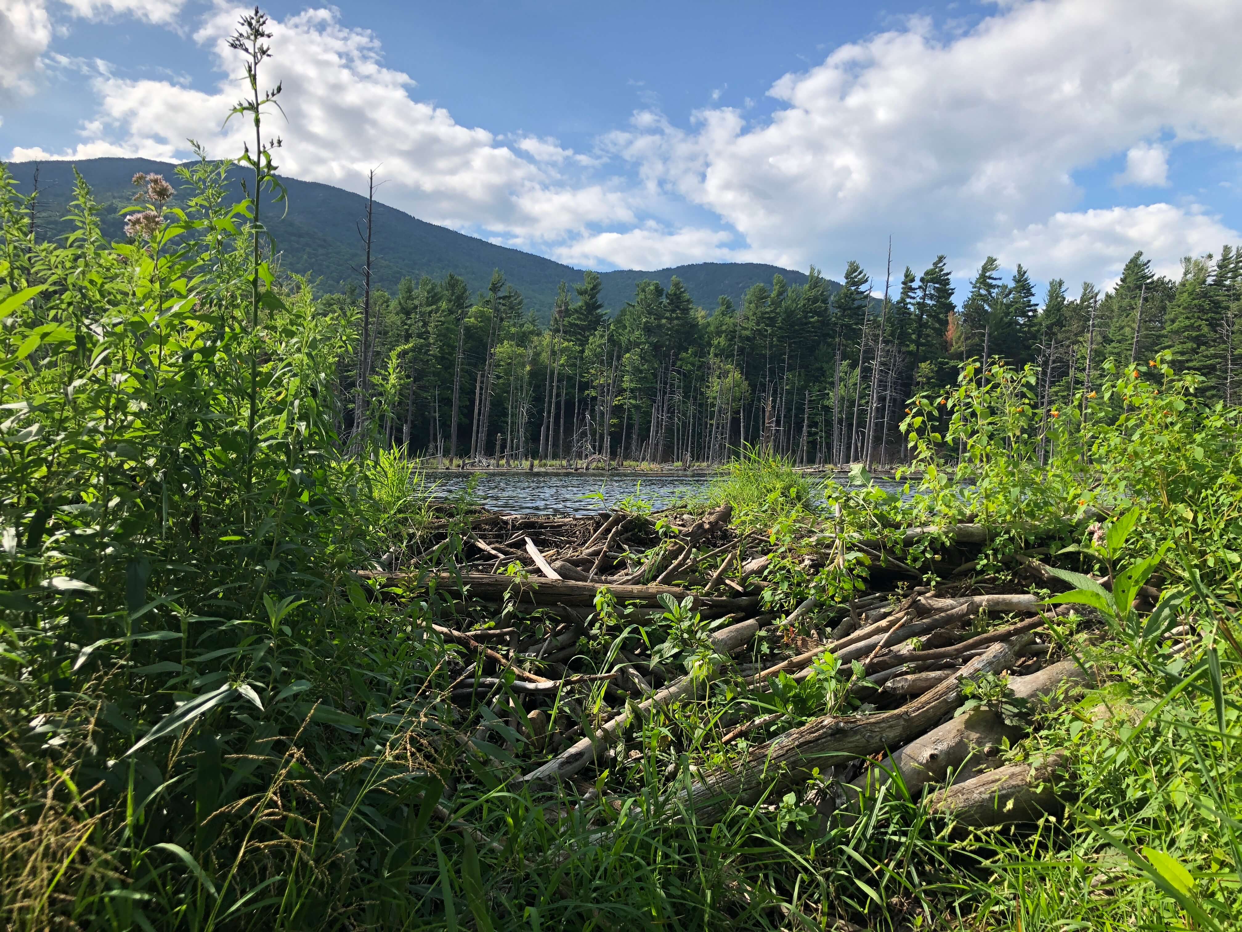 unknown_lake