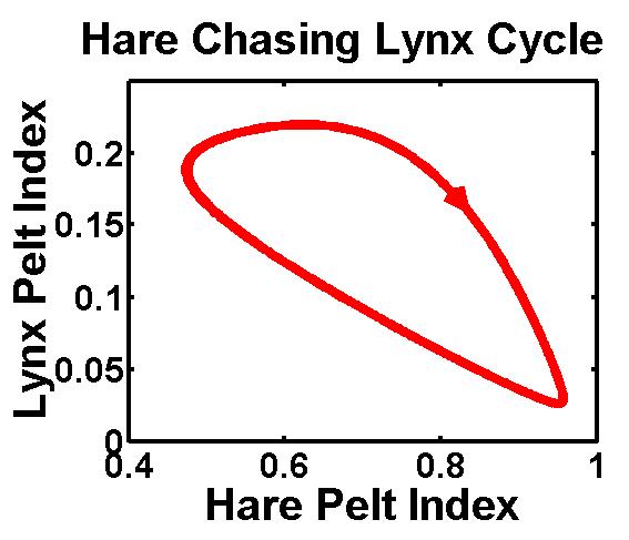 In contrast, the classical predator-prey cycle goes counterclockwise.