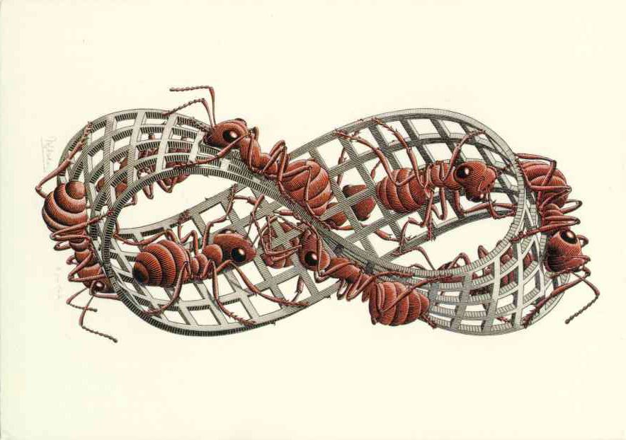 moebius strip