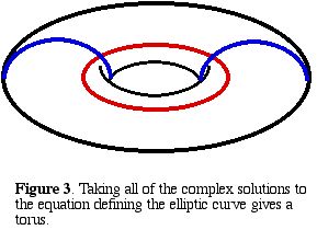 torus